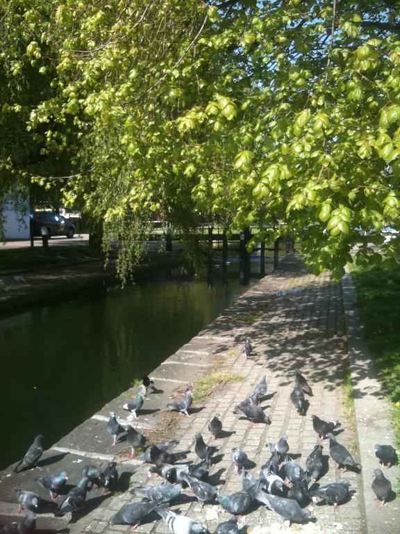 Acara House B&B Dublin Dış mekan fotoğraf