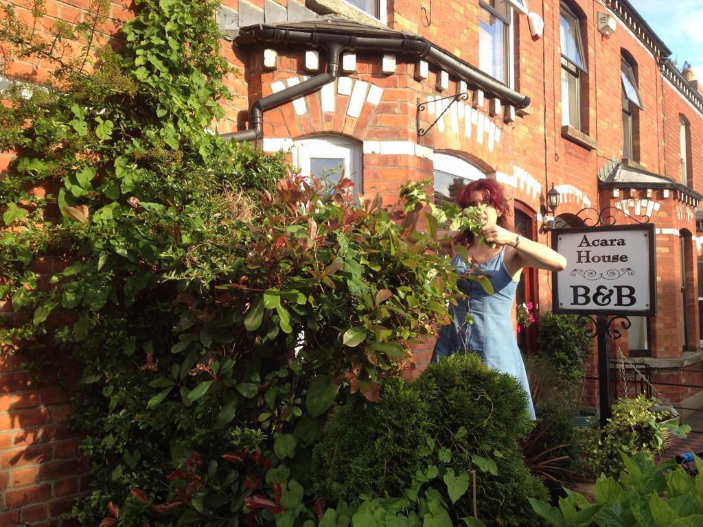 Acara House B&B Dublin Dış mekan fotoğraf